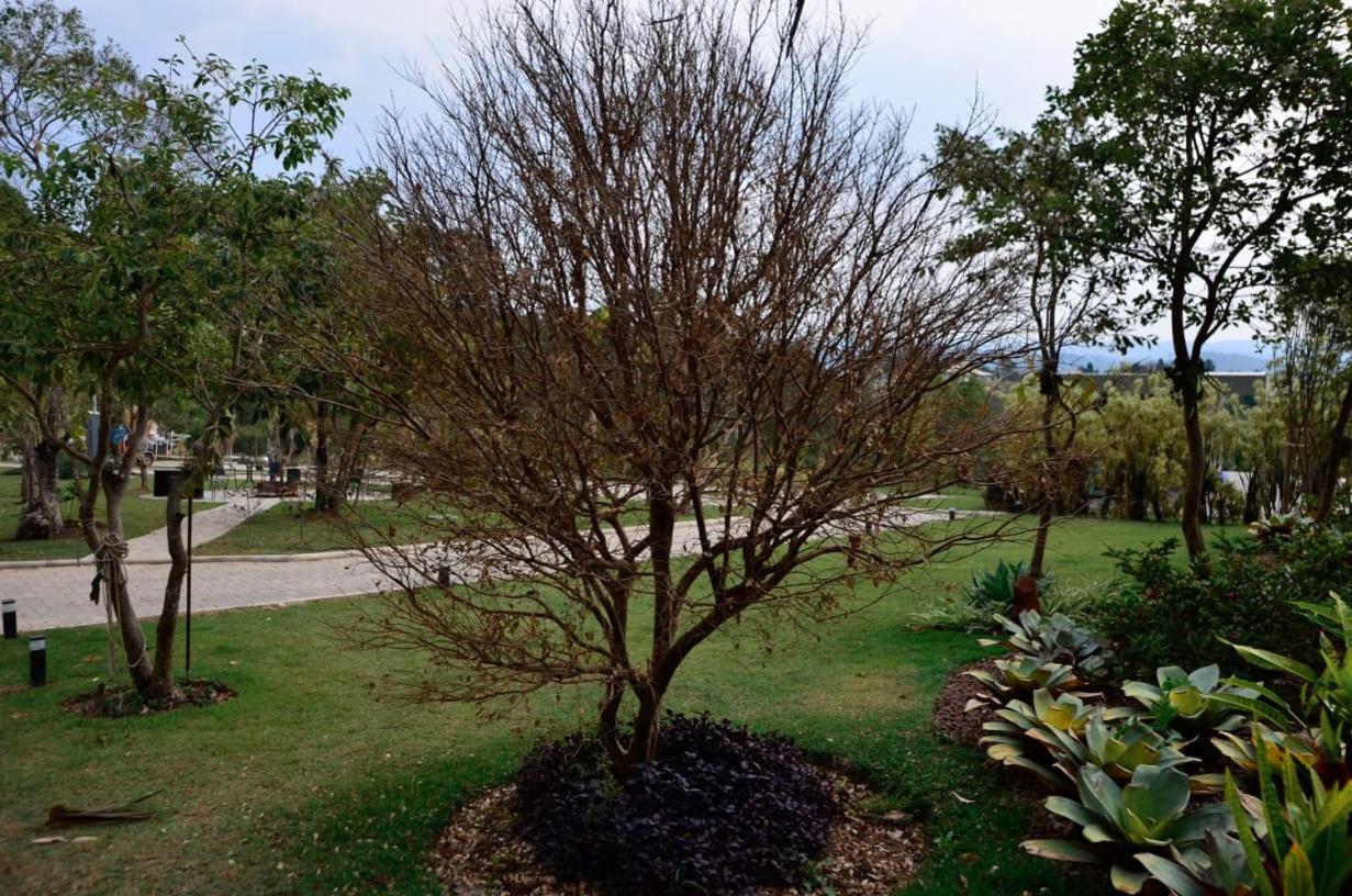 Capao Do Cerrado Pousada E Spa Itabirito Exterior photo